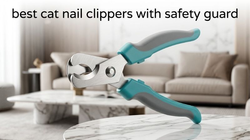 How to Choose the Right Best Cat Nail Clippers With Safety Guard