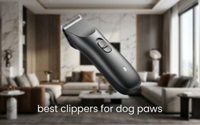 Best Clippers for Dog Paws: 6 Quiet, Precise Picks 2026