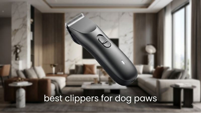 How to Choose the Right Best Clippers for Dog Paws