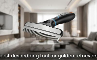 Best Deshedding Tool for Golden Retrievers: 6 Top Picks