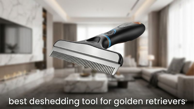 How to Choose the Right Best Deshedding Tool for Golden Retrievers