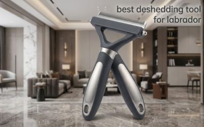 Best Deshedding Tool for Labrador: 6 Top Picks for Sheds