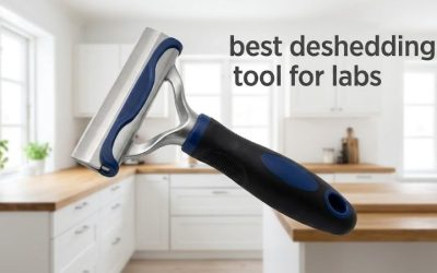 Best Deshedding Tool for Labs: 6 Top Picks for Shedding