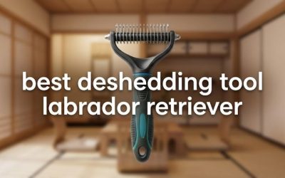 Best Deshedding Tool Labrador Retriever: 6 Top Picks 2026