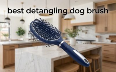Best Detangling Dog Brush: 6 Top Picks for Mats and Knots