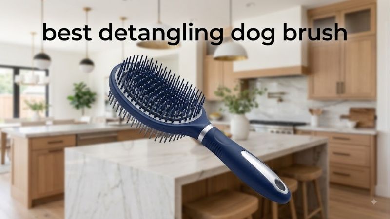 How to Choose the Right Best Detangling Dog Brush