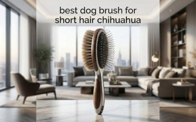 Best Dog Brush for Short Hair Chihuahua: 6 Gentle Picks