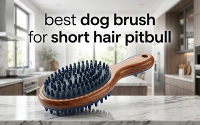 Best Dog Brush for Short Hair Pitbull: 6 Top Gentle Picks