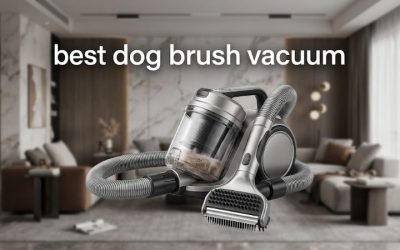Best Dog Brush Vacuum: 6 Top Grooming Kits for Shedding 2026