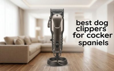 Best Dog Clippers for Cocker Spaniels: Top 6 Groomer Picks