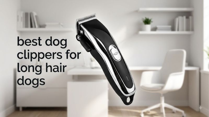 How to Choose the Right Best Dog Clippers for Long Hair Dogs
