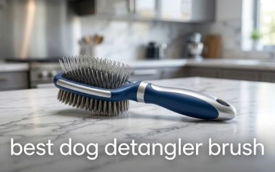 Best Dog Detangler Brush: 6 Top Picks for Mats and Knots