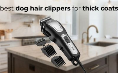 Best Dog Hair Clippers for Thick Coats: 6 Top Picks 2026