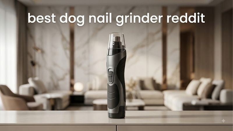 How to Choose the Right Best Dog Nail Grinder Reddit Recommends