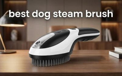 Best Dog Steam Brush: 6 Top Self-Cleaning Picks for 2026