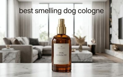 Best Smelling Dog Cologne: 6 Long-Lasting Picks for Dogs