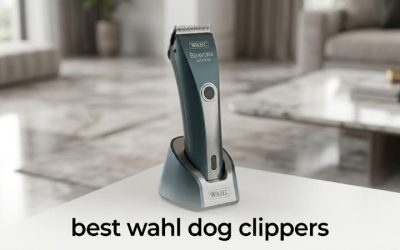 Best Wahl Dog Clippers: 6 Top Models Compared for Coats