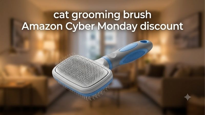 How to Choose the Right Cat Grooming Brush Amazon Cyber Monday Discount
