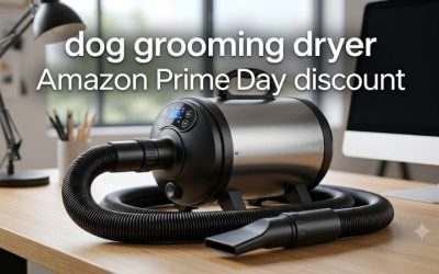 Dog Grooming Dryer Amazon Prime Day Discount Buyer Guide