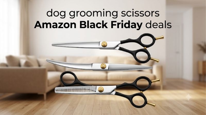 How to Choose the Right Dog Grooming Scissors Amazon Black Friday Deals