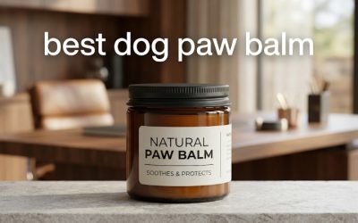 Best Dog Paw Balm: Top Picks for Cracked, Dry, Rough Paws