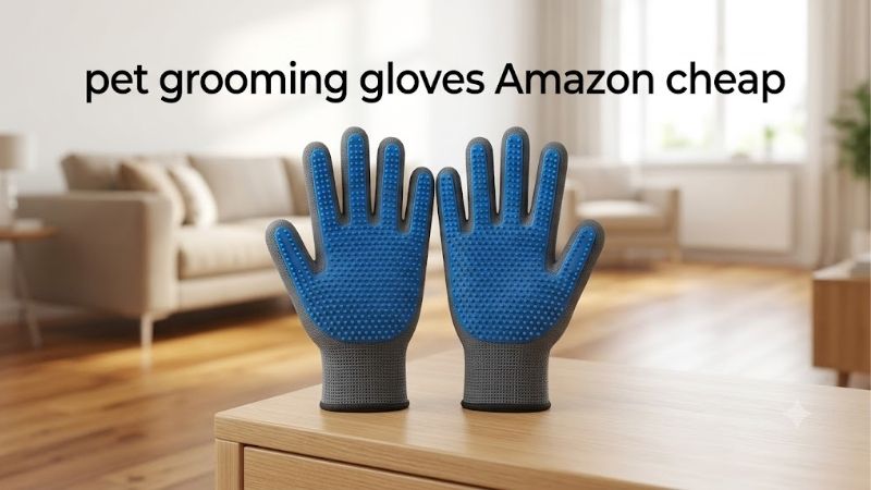 How to Choose the Right Pet Grooming Gloves Amazon Cheap