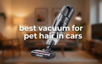 Best Vacuum for Pet Hair in Cars: Top Picks & Buying Tips