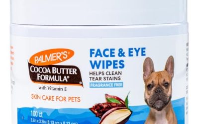 How to Clean Your Dog’s Eyes: Gentle Wipes and Solutions