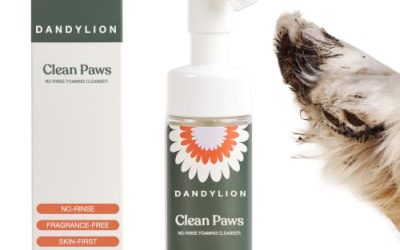 How to Clean Your Dog’s Paws After Walks