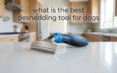 What Is the Best Deshedding Tool for Dogs? Top Picks 2026