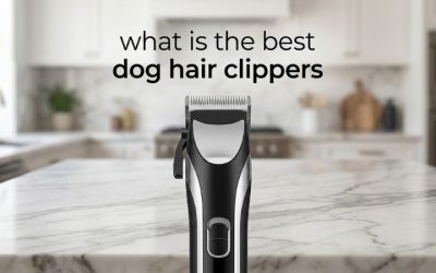 What Is the Best Dog Hair Clippers Choice? 6 Strong Picks
