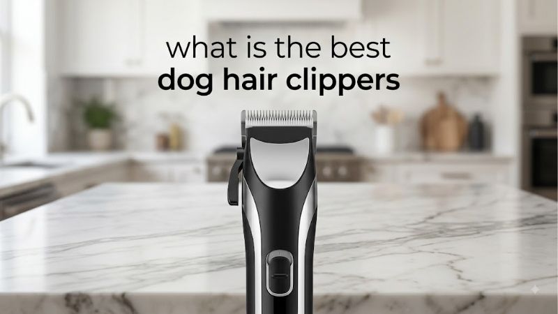 How to Decide What Is the Best Dog Hair Clippers Option for You