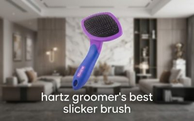 Hartz Groomer’s Best Slicker Brush: Review and 5 Rivals
