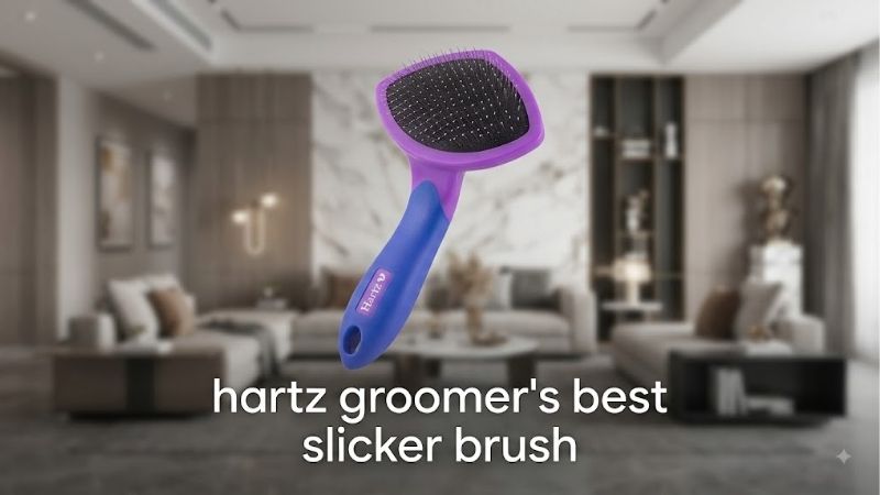 How to Judge a Slicker Like Hartz Groomer's Best Slicker Brush