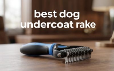 Best Dog Undercoat Rake: Six Rated on Real Build Quality