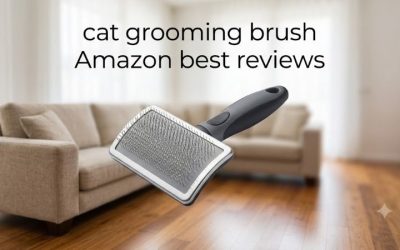 Cat Grooming Brush Amazon Best Reviews: Top 6 Picks 2026