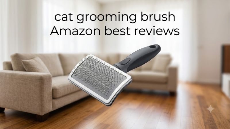 How to Read Cat Grooming Brush Amazon Best Reviews Before Buying