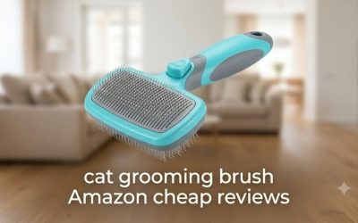 Cat Grooming Brush Amazon Cheap Reviews: 6 Budget Picks