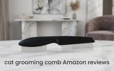 Cat Grooming Comb Amazon Reviews: Top 6 Picks for Autumn