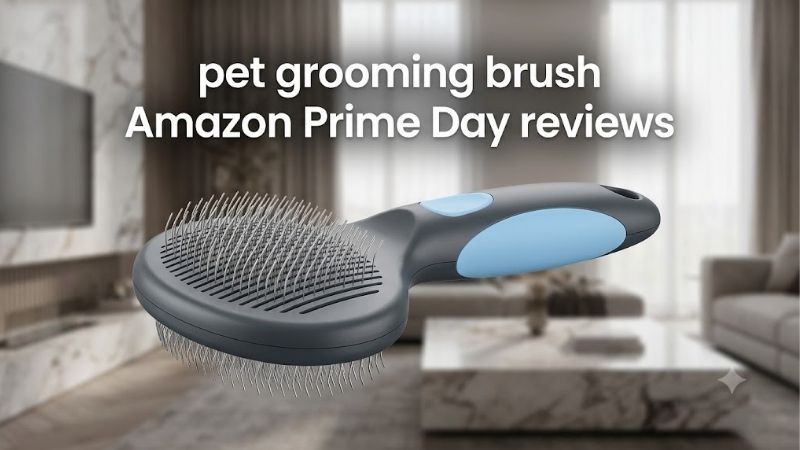 How to Read Pet Grooming Brush Amazon Prime Day Reviews