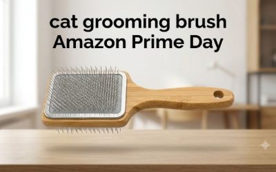 Cat Grooming Brush Amazon Prime Day: 6 Deals Worth Buying