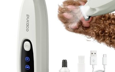 How to Trim Your Dog’s Face Safely with Small Clippers