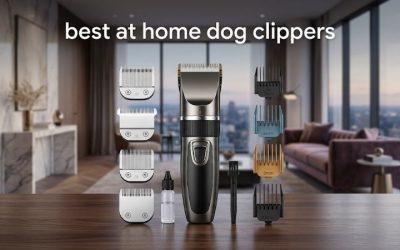 Best At Home Dog Clippers: 6 Picks Plus Blade Safety Basics