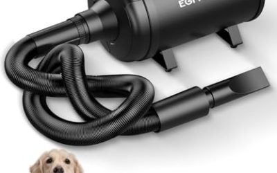 Top 5 Best Dog Fur Dryers for Faster Drying Times