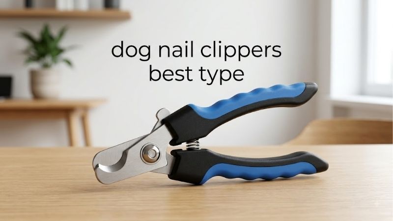 Understanding the Dog Nail Clippers Best Type for Your Dog