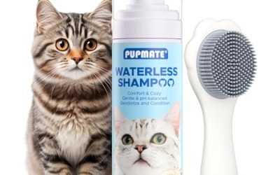 Waterless Cat Shampoo: A Quick Guide for Feline Grooming