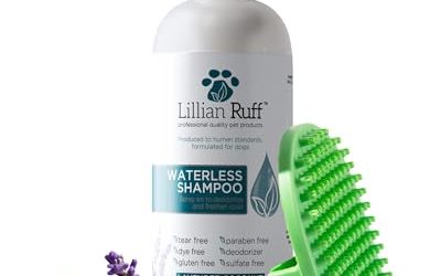 Waterless Shampoo for Dogs: When and How to Use It