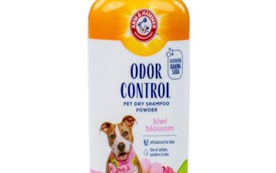 Waterless Shampoo vs. Dry Shampoo for Dogs: What’s the Difference?