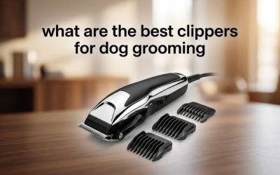 What Are the Best Clippers for Dog Grooming: 6 Expert Picks