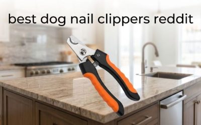 Best Dog Nail Clippers Reddit Owners Recommend the Most